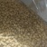 蟹黄味瓜子仁电商用瓜子仁物美价廉大量现货2万斤