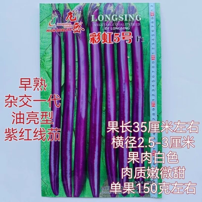 龙盛彩虹5号长线茄种子早熟杂交红线茄种子油亮肉嫩高产长茄