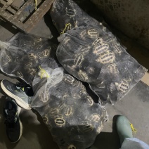 碌仔7元一个***********