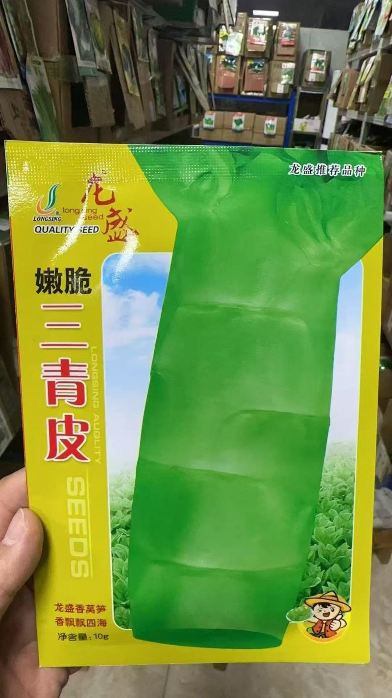 龙盛嫩脆三青皮莴笋种子质嫩鲜脆香味浓耐寒青皮青肉青叶莴笋