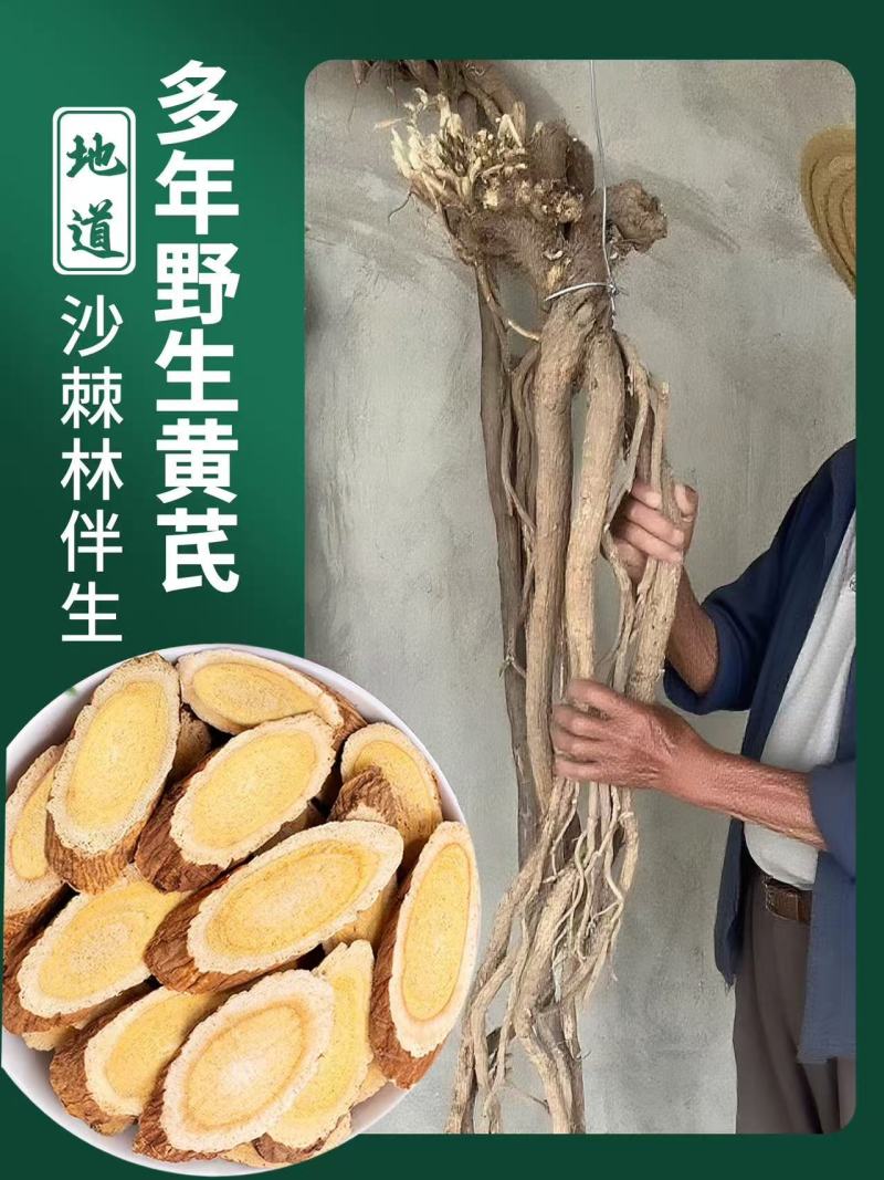 野生黄芪，5年以上，货源有限，先到先得，精品切片。