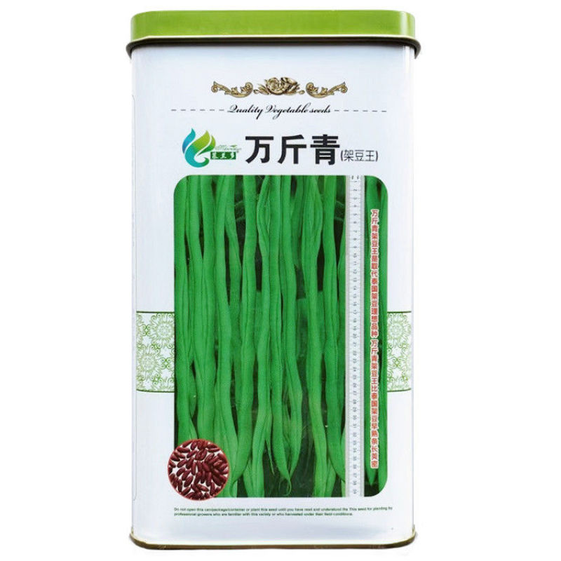 万斤青肉豆角种子高产架豆四季大田播种无筋架豆嫩豆角种籽