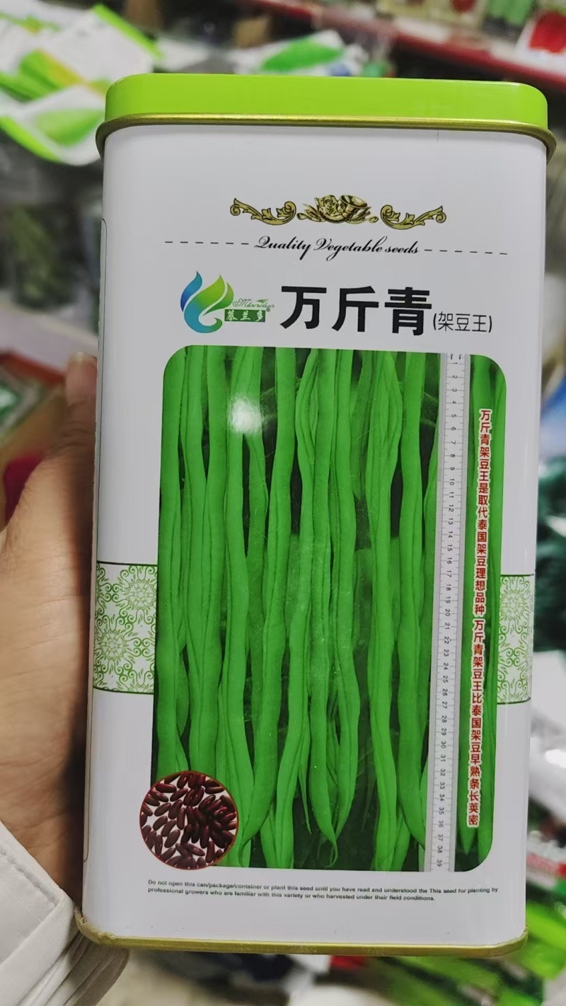 万斤青肉豆角种子高产架豆四季大田播种无筋架豆嫩豆角种籽