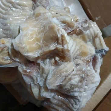 牛天梯清水纯干没有水份可定制加工欢迎加工厂合作