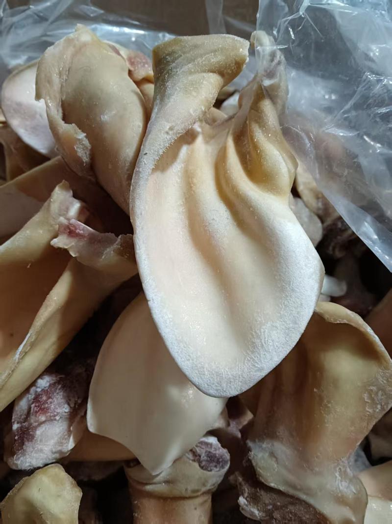 牛耳不带根可定制清水退毛鲜牛耳干净纯干可定制