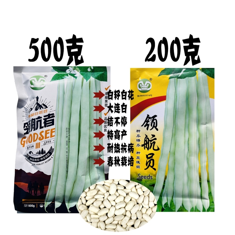 领航者架豆芸豆种籽特高产豆角种籽春秋播种耐热抗病无筋架豆