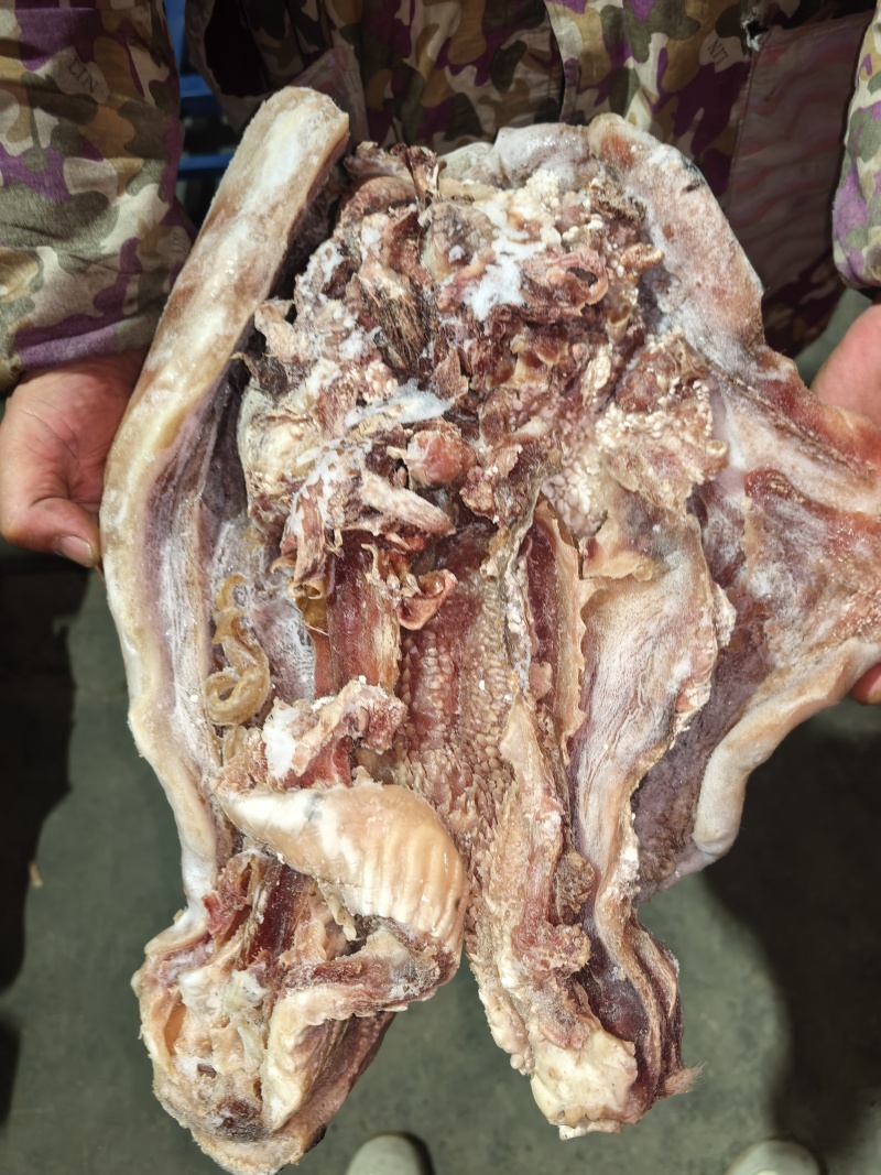 牛头肉大公牛头皮纯干清水煮刀削毛可定制纯干清水煮