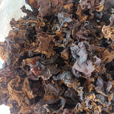 自家种植木耳，自家晾晒，无硫***，天然晒干保留营养