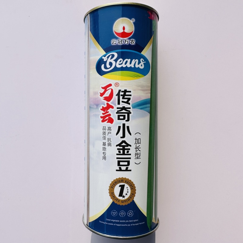 加长版小金豆种子高产抗病春秋播种肉豆角种籽基地种植豆角种