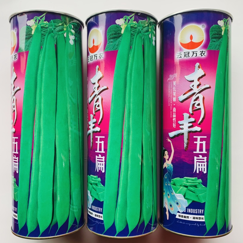 青丰五扁无筋架豆种籽早熟高产绿肉宽扁架豆春秋播种豆角种籽