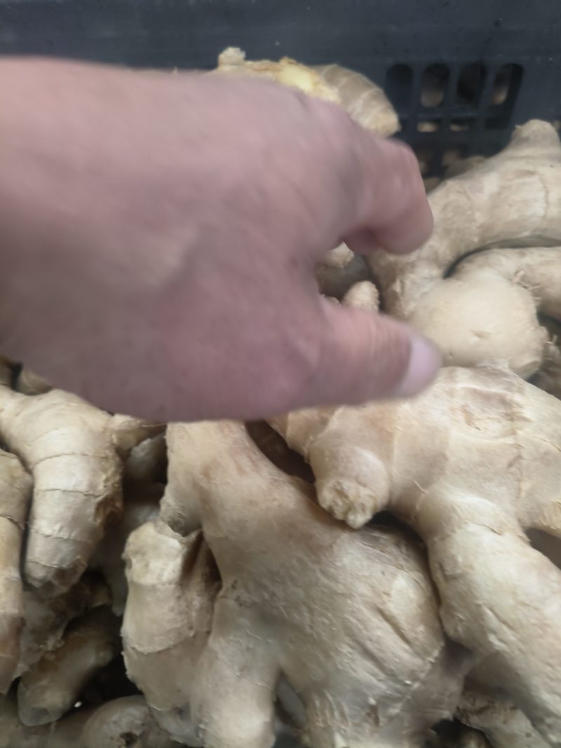 生姜，水洗姜，风干姜，红芽二姜，云南小黄姜大量供应