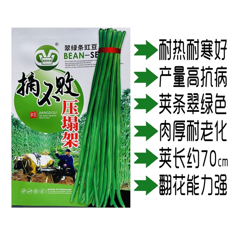 摘不败长豇豆种籽翠绿色肉厚抗病高产春秋播种豇豆种籽压塌架