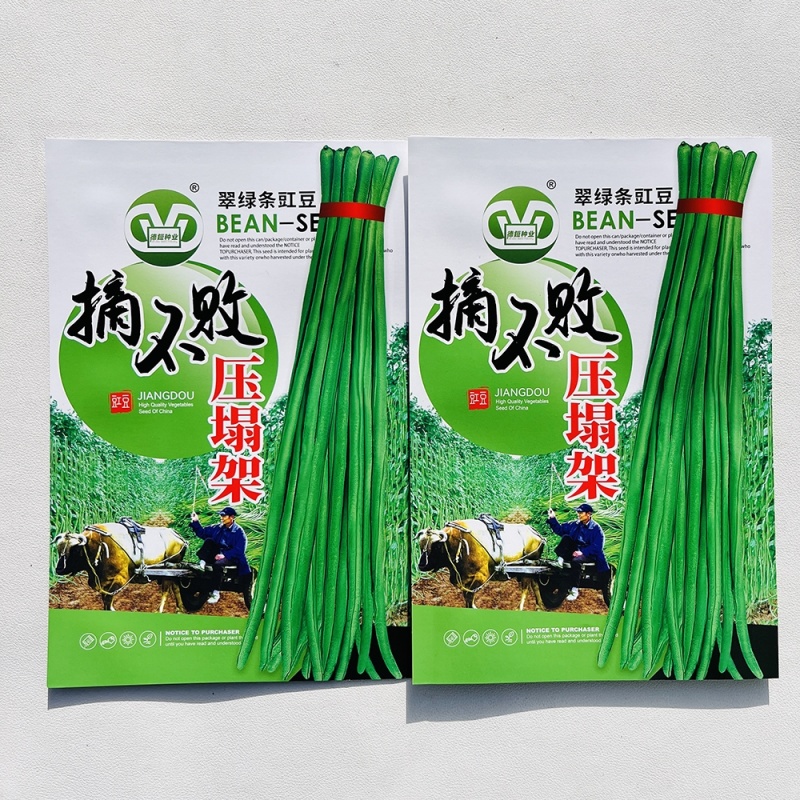 摘不败长豇豆种籽翠绿色肉厚抗病高产春秋播种豇豆种籽压塌架