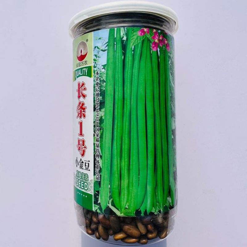 金玉传奇小金豆种子加长版高产无筋肉厚豆角种籽春秋播种架豆