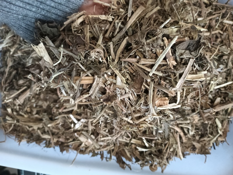2025花生秧无土少膜无霉变工厂直销