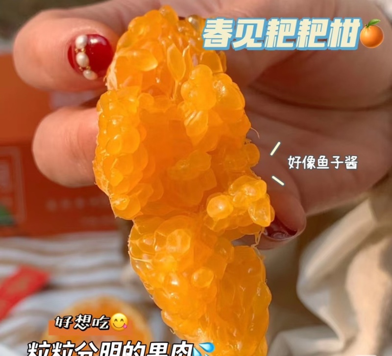 四川春见耙耙柑大量走货对接超市批发市场全国发货