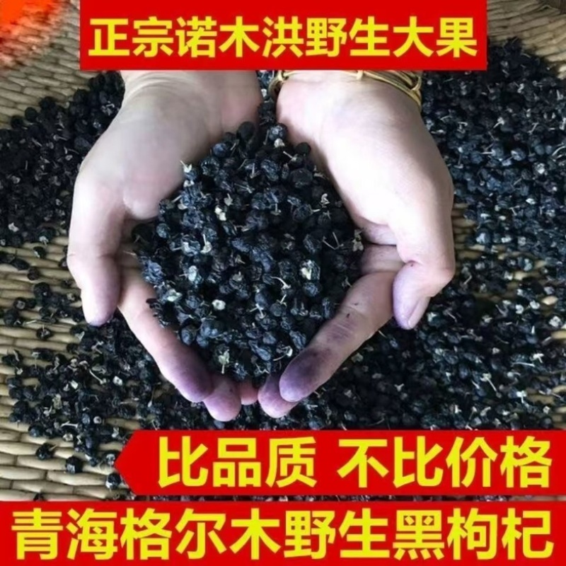 黑枸杞正宗新疆黑枸杞中药材批发零售货真价实