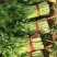 【特级】山东手选特级芹菜种植基地直发质优价廉欢迎电联