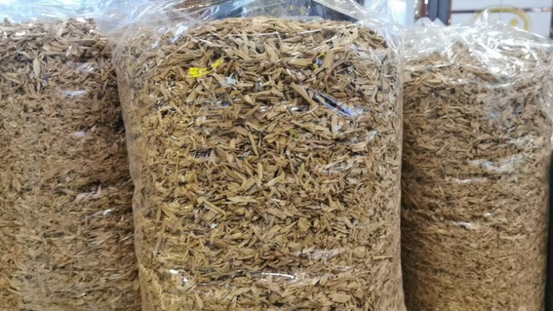 檀香中药材正品过检测符合药典含量批发零售货真价实