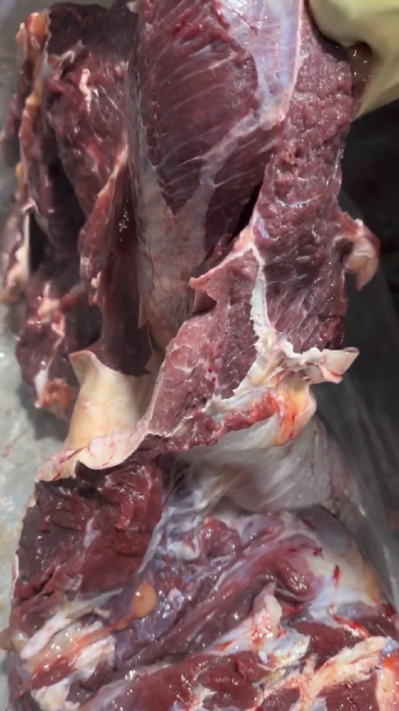 【牛腿肉-包邮】批发一件10斤50斤牛肉牛腿肉发货快