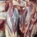 【牛腿肉-包邮】批发一件10斤50斤牛肉牛腿肉发货快