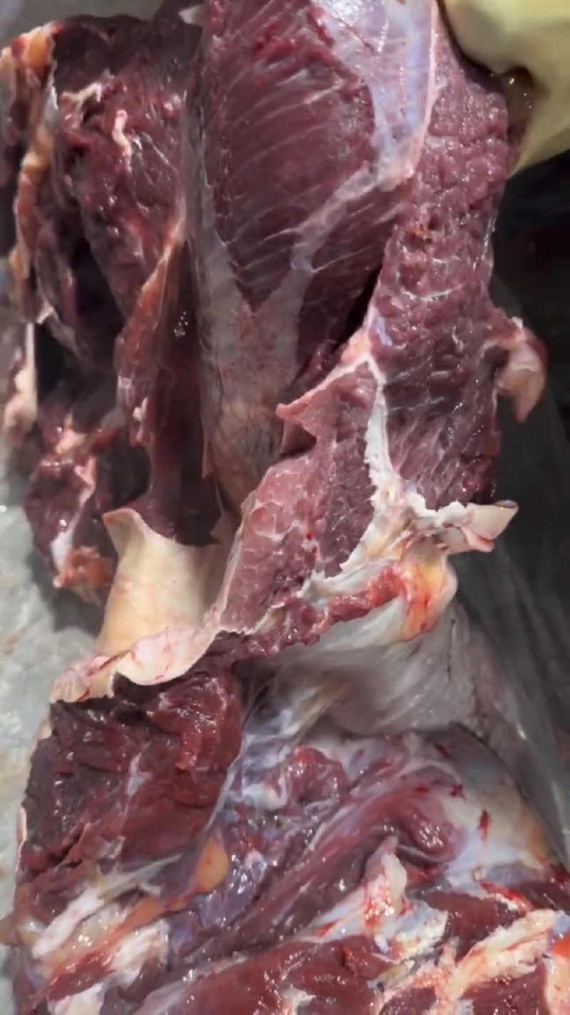 【牛腿肉-包邮】批发一件10斤50斤牛肉牛腿肉发货快