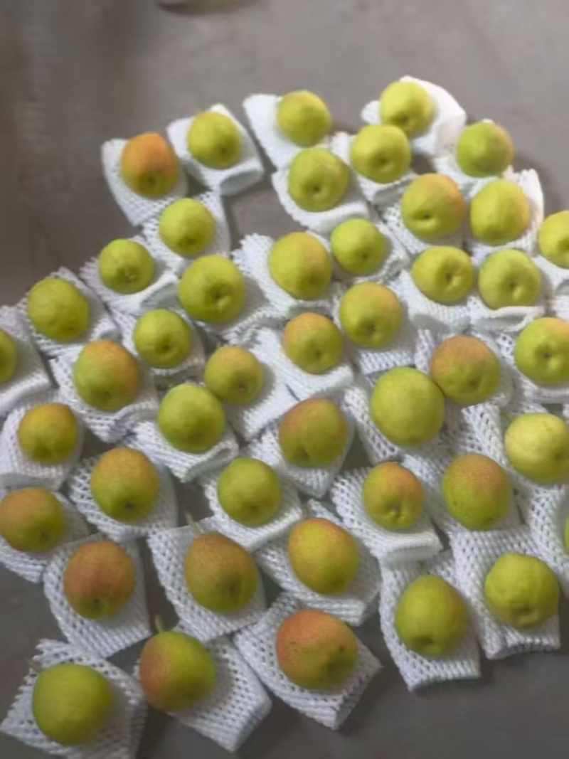 新疆库尔勒红香酥梨大量有货量大从优保质保量欢迎咨询