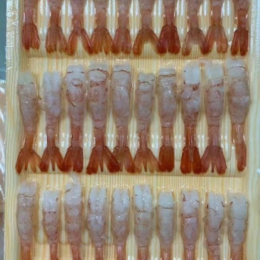 托盘甜虾工厂直销