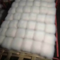 毛豆腐