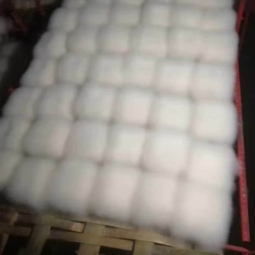 毛豆腐