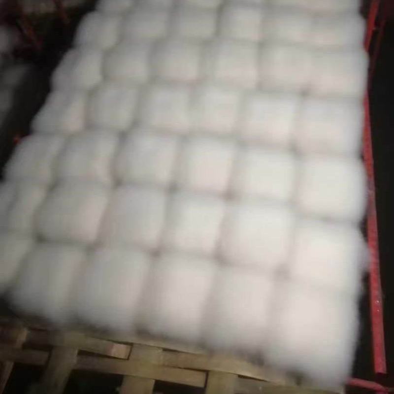 毛豆腐