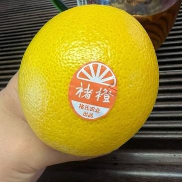 实建褚橙花斑果，一件代发，整车走货