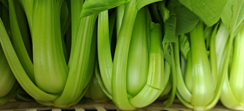 青菜，苏州青