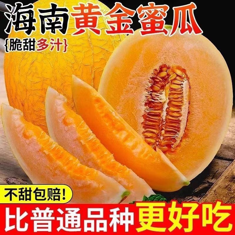 重庆双福国际农批城现货批发，欢迎选购。