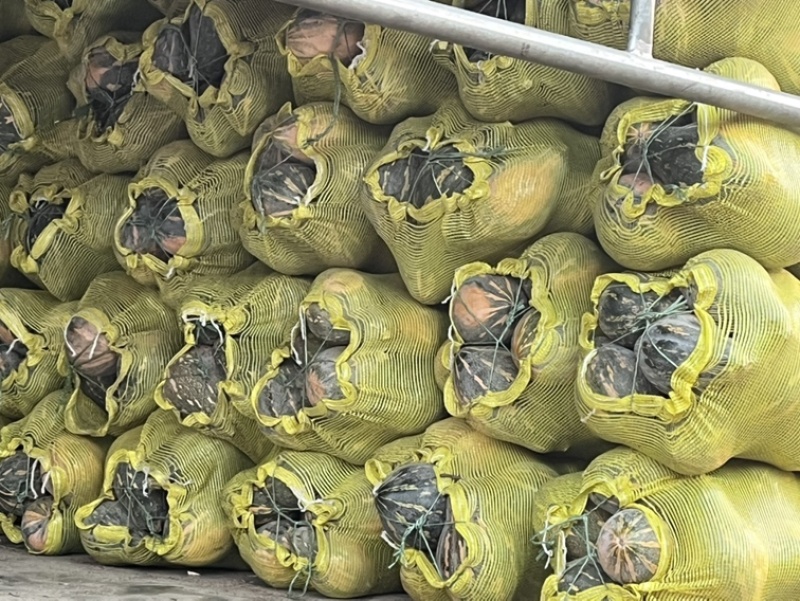 湛江香芋南瓜产地直发