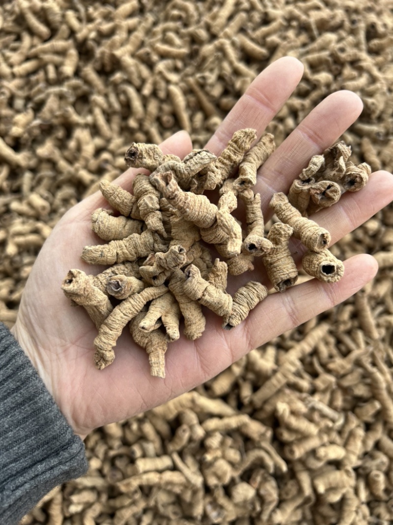 巴戟天真实拍摄批发零售各种中药材量大从优