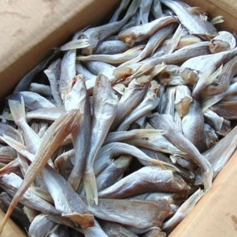 小鱼鱼干红娘自晒风干无头山东咸鱼干货海鲜红娘子半干批发