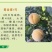 50万棵一年生嫁接苗
