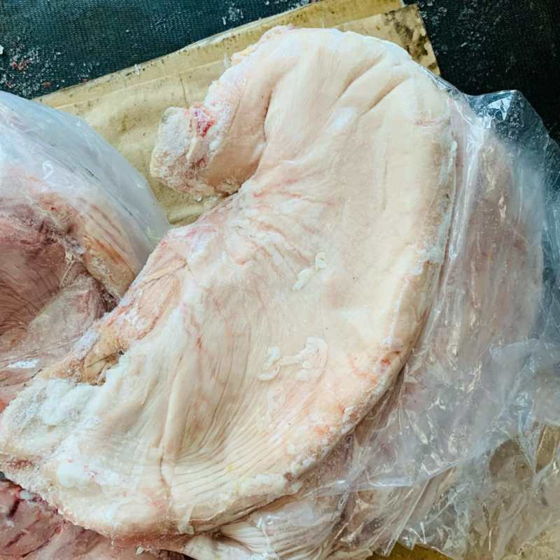 猪大肚