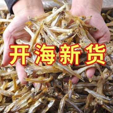 渔民自晒小鱼干无盐淡晒公干鱼海鲜干货海燕鱼白凡新货北海咸