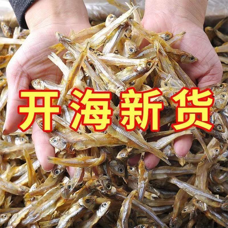 渔民自晒小鱼干无盐淡晒公干鱼海鲜干货海燕鱼白凡新货北海咸