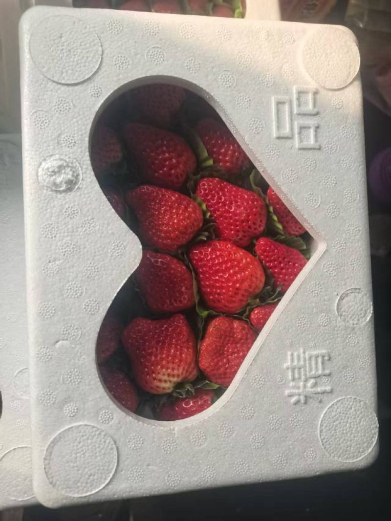 奶油藏香草莓，大量上市，产地直发，品质保证，服务周到
