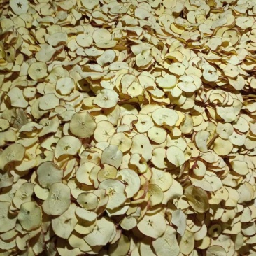 河北苹果干/厂家一手货源/干净精品量大无杂货/常年有货/