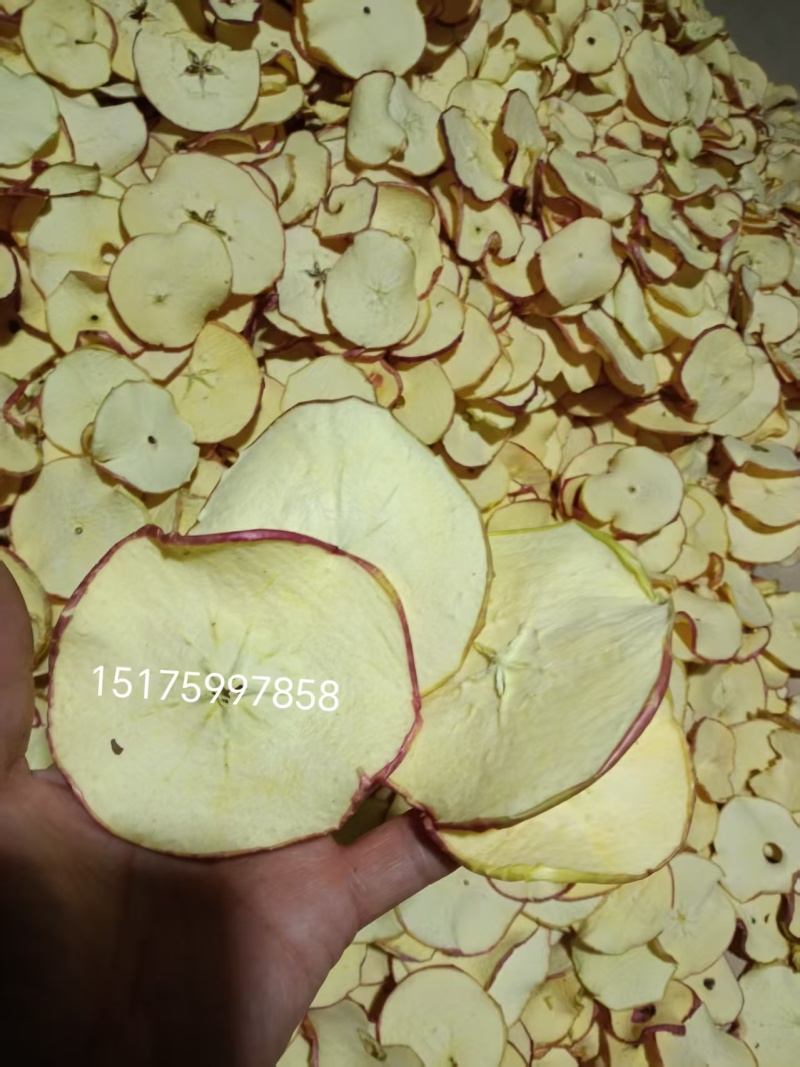 河北苹果干/厂家一手货源/干净精品量大无杂货/常年有货/