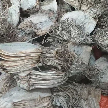 水发鱿鱼干淡干鱿鱼干