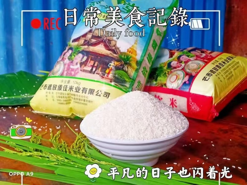 云南遮放大米产地货源充足品质保证口感好欢迎下单
