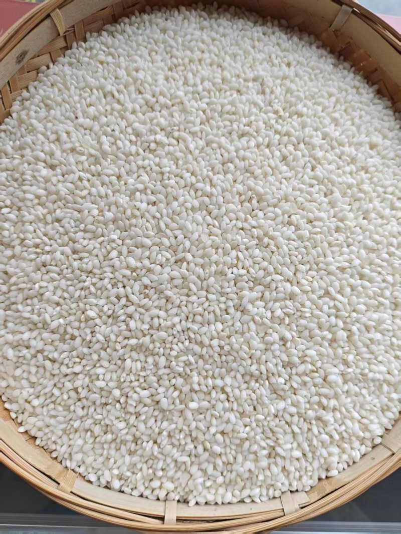 巴窝软香米