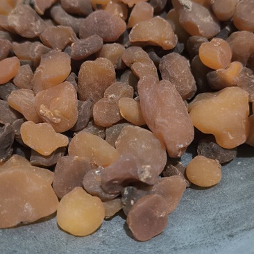 土贝母批发各种规格中药材质量保证量大从优