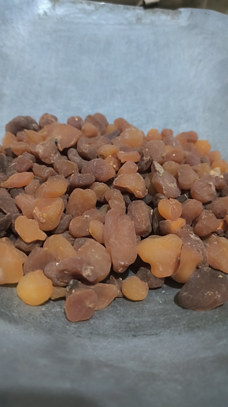 土贝母批发各种规格中药材质量保证量大从优