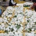 红心芭乐西瓜红番石榴自家果园货源充足，新鲜采摘